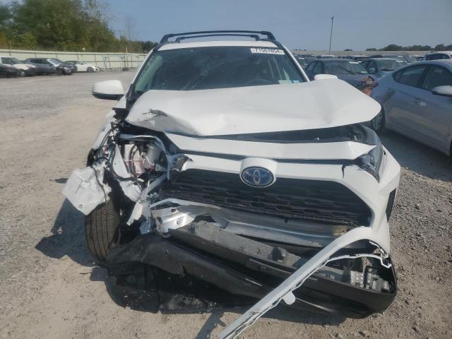 Photo 4 VIN: 2T3RWRFV8RW202834 - TOYOTA RAV4 XLE 