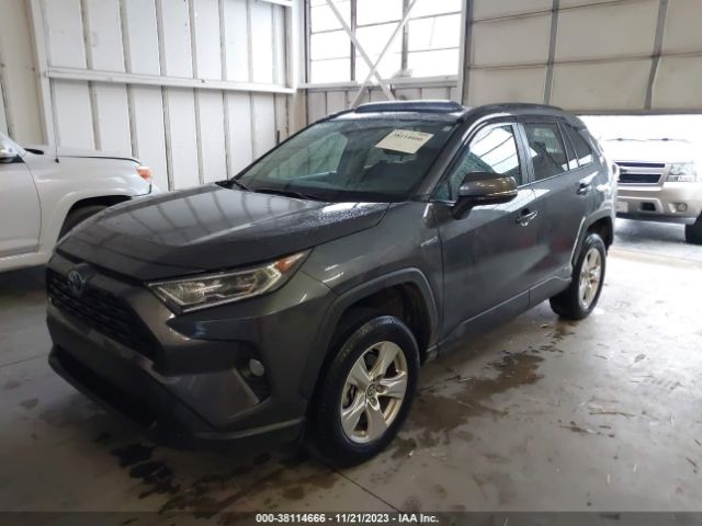 Photo 1 VIN: 2T3RWRFVXKW022566 - TOYOTA RAV4 