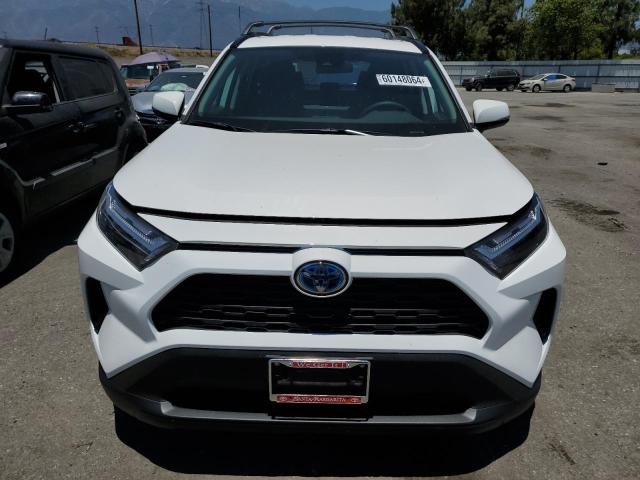 Photo 4 VIN: 2T3RWRFVXRW204648 - TOYOTA RAV4 XLE 