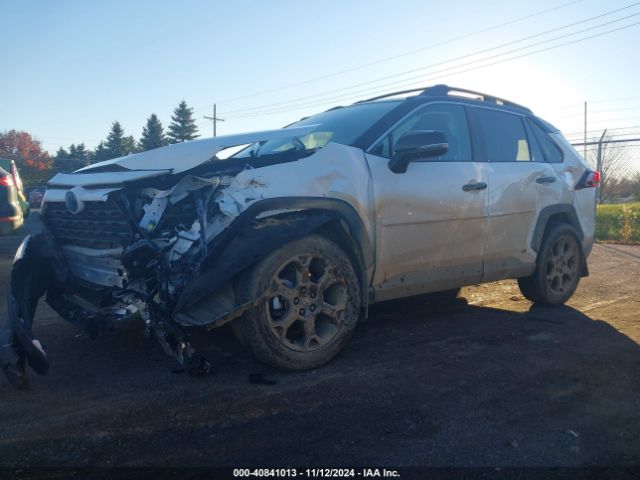 Photo 1 VIN: 2T3UWRFV0RW215801 - TOYOTA RAV4 