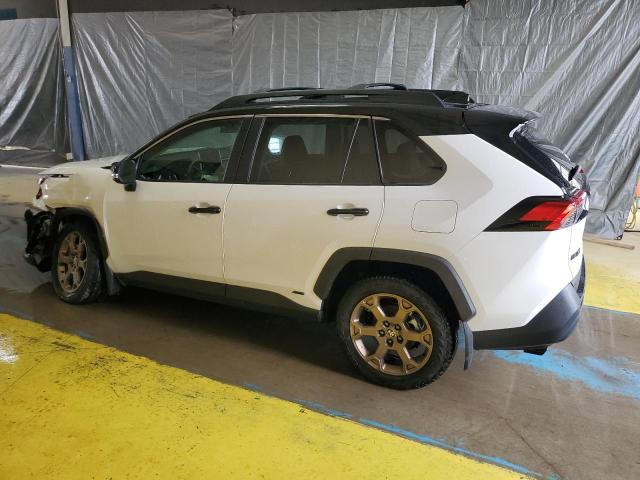 Photo 1 VIN: 2T3UWRFV1RW217203 - TOYOTA RAV4 WOODL 