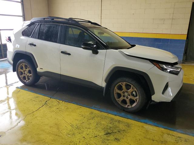 Photo 3 VIN: 2T3UWRFV1RW217203 - TOYOTA RAV4 WOODL 