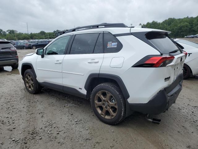 Photo 1 VIN: 2T3UWRFV9PW157426 - TOYOTA RAV4 WOODL 