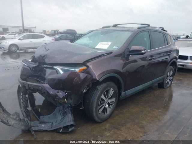 Photo 1 VIN: 2T3WFREV3HW392979 - TOYOTA RAV4 