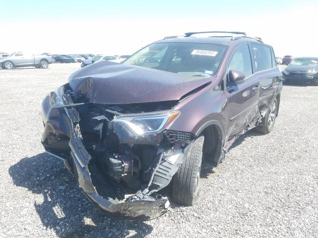 Photo 1 VIN: 2T3WFREV5HW356744 - TOYOTA RAV4 XLE 