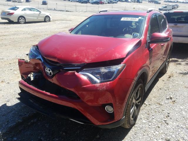 Photo 1 VIN: 2T3WFREV8GW294609 - TOYOTA RAV4 XLE 