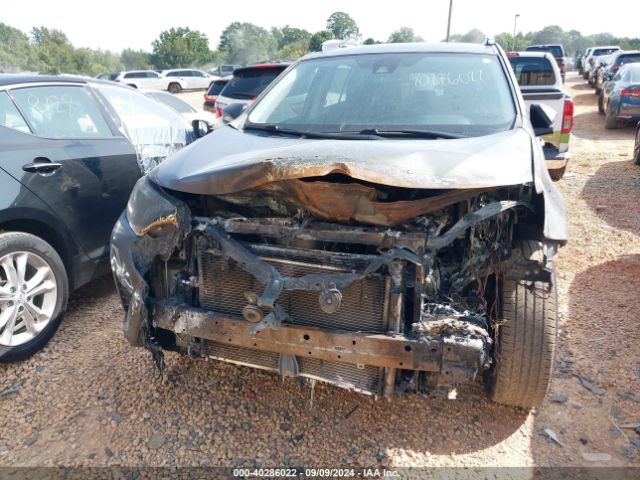 Photo 5 VIN: 2T3ZFREV1JW441468 - TOYOTA RAV4 