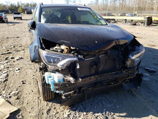 Photo 8 VIN: 2T3ZFREV6GW298252 - TOYOTA RAV4 LE 