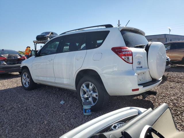 Photo 1 VIN: 2T3ZK4DVXBW011262 - TOYOTA RAV4 