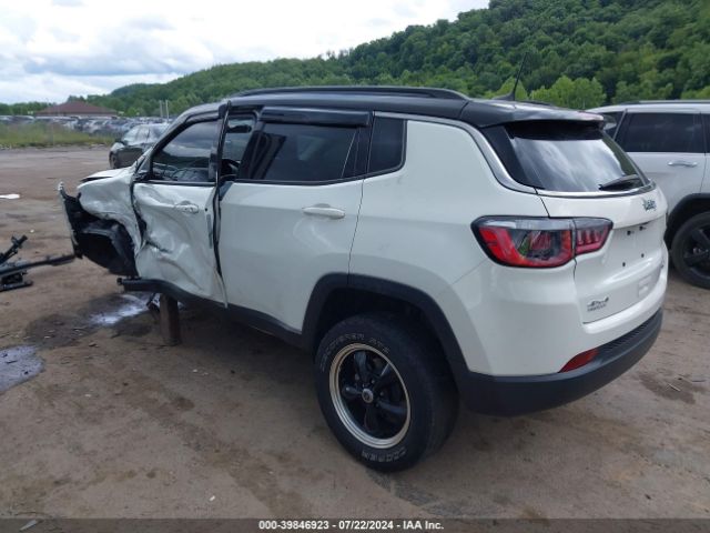 Photo 2 VIN: 3C4NJDBB6LT107182 - JEEP COMPASS 