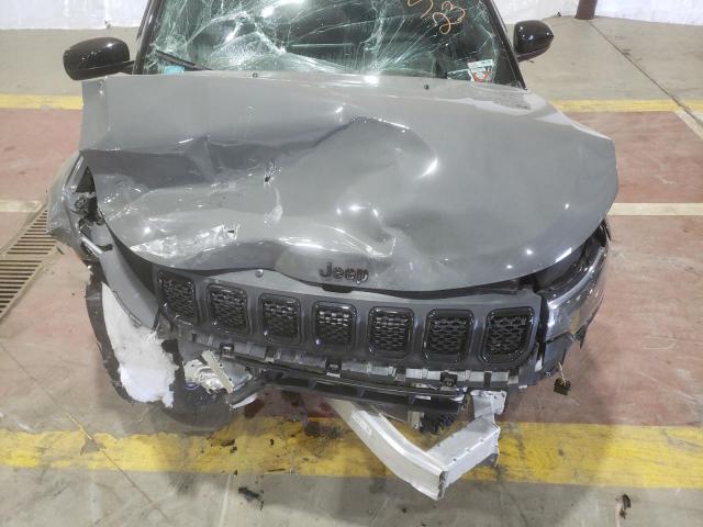 Photo 11 VIN: 3C4NJDBN2PT535234 - JEEP COMPASS 