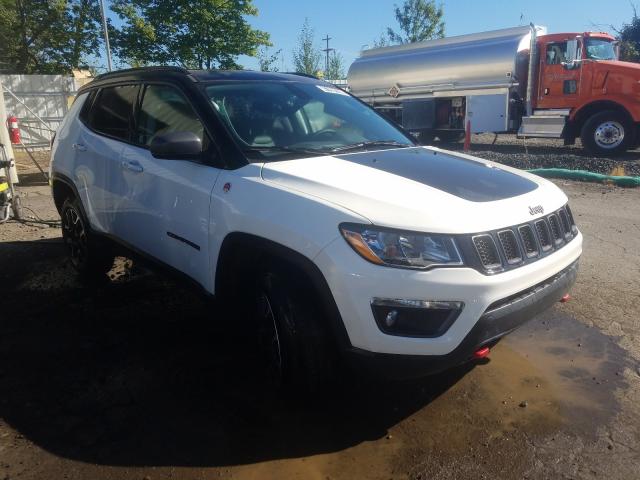 Photo 0 VIN: 3C4NJDDB3LT195427 - JEEP COMPASS TR 