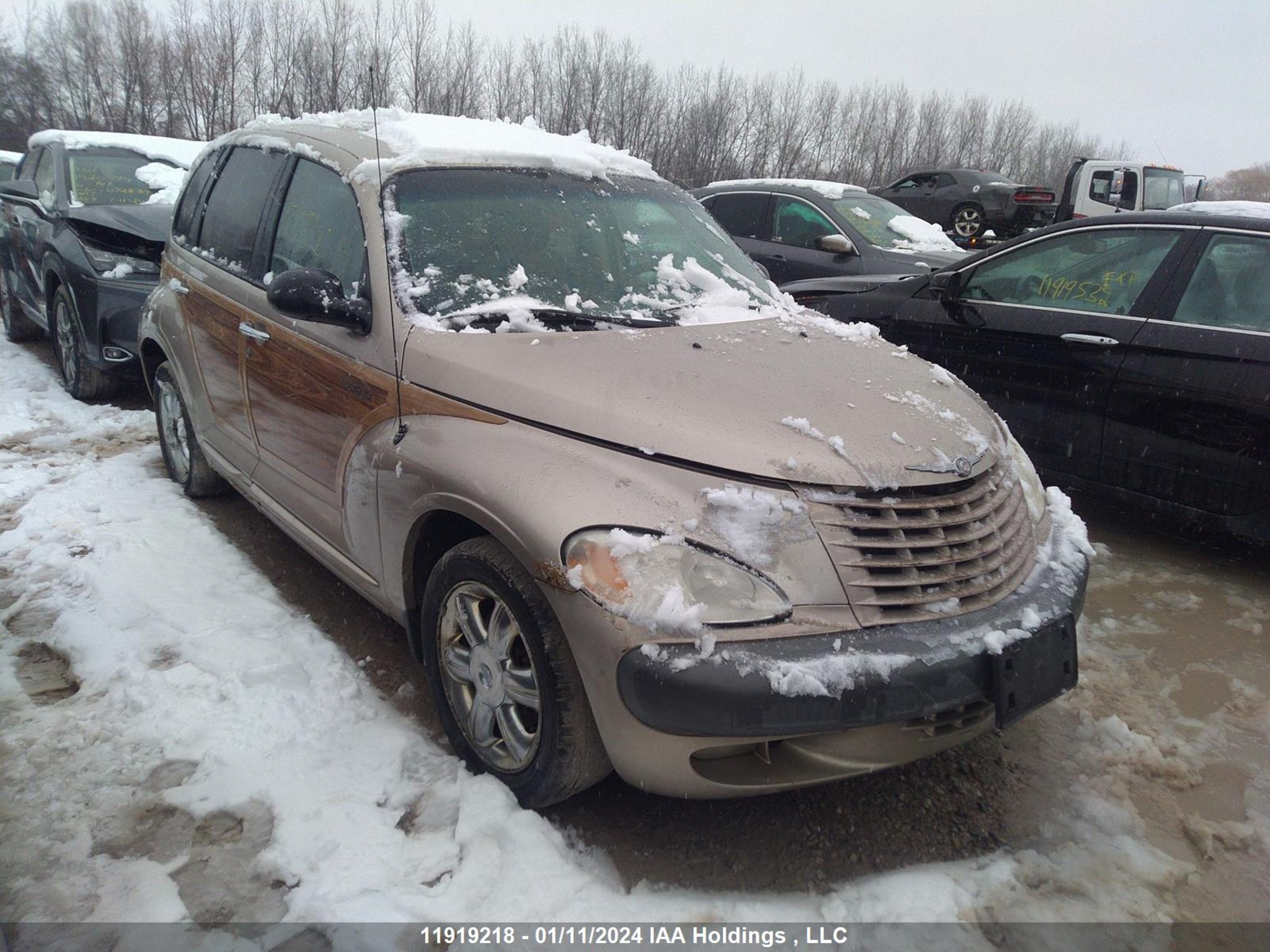 Photo 0 VIN: 3C8FY68BX2T379749 - CHRYSLER PT CRUISER 