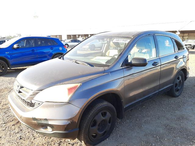 Photo 1 VIN: 3CZRE3H36AG700587 - HONDA CR-V LX 