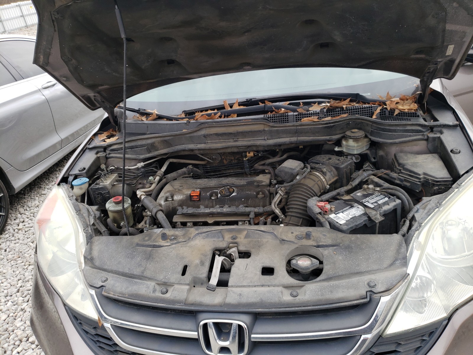 Photo 6 VIN: 3CZRE3H38AG702292 - HONDA CR-V LX 