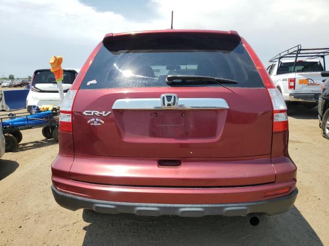 Photo 5 VIN: 3CZRE3H51AG703995 - HONDA CR-V EX 