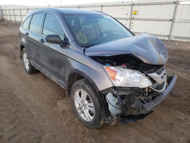 Photo 0 VIN: 3CZRE4H55BG701464 - HONDA CR-V EX 