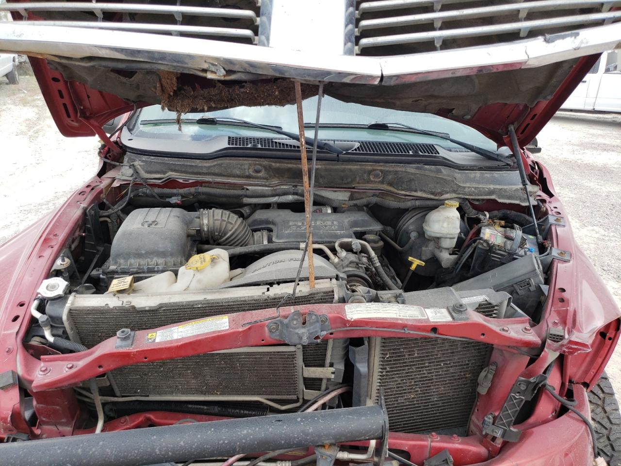 Photo 10 VIN: 3D3KS28D88G231894 - DODGE RAM 