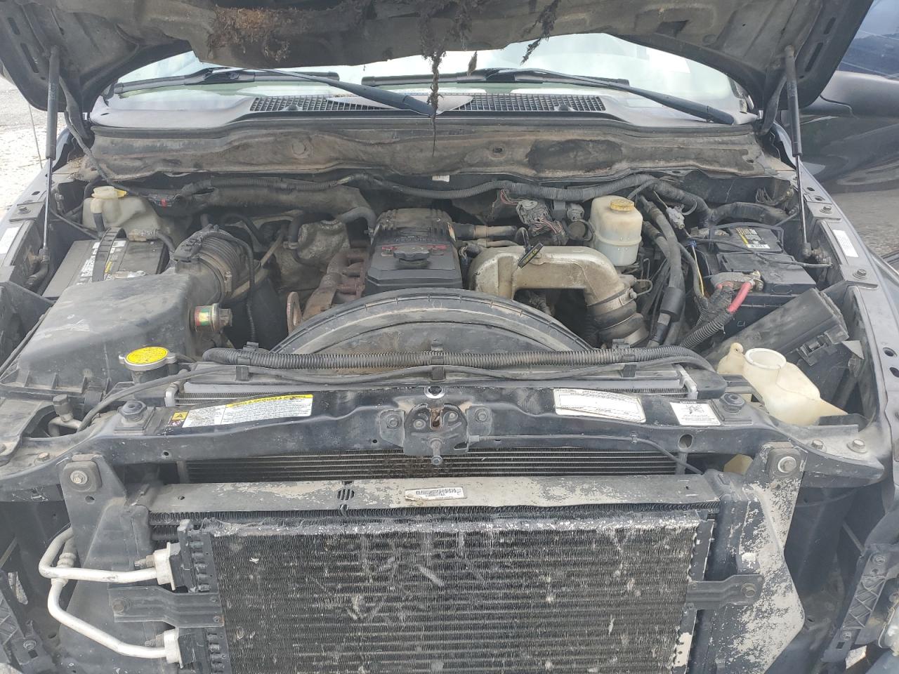 Photo 10 VIN: 3D7MX48C37G702621 - DODGE RAM 