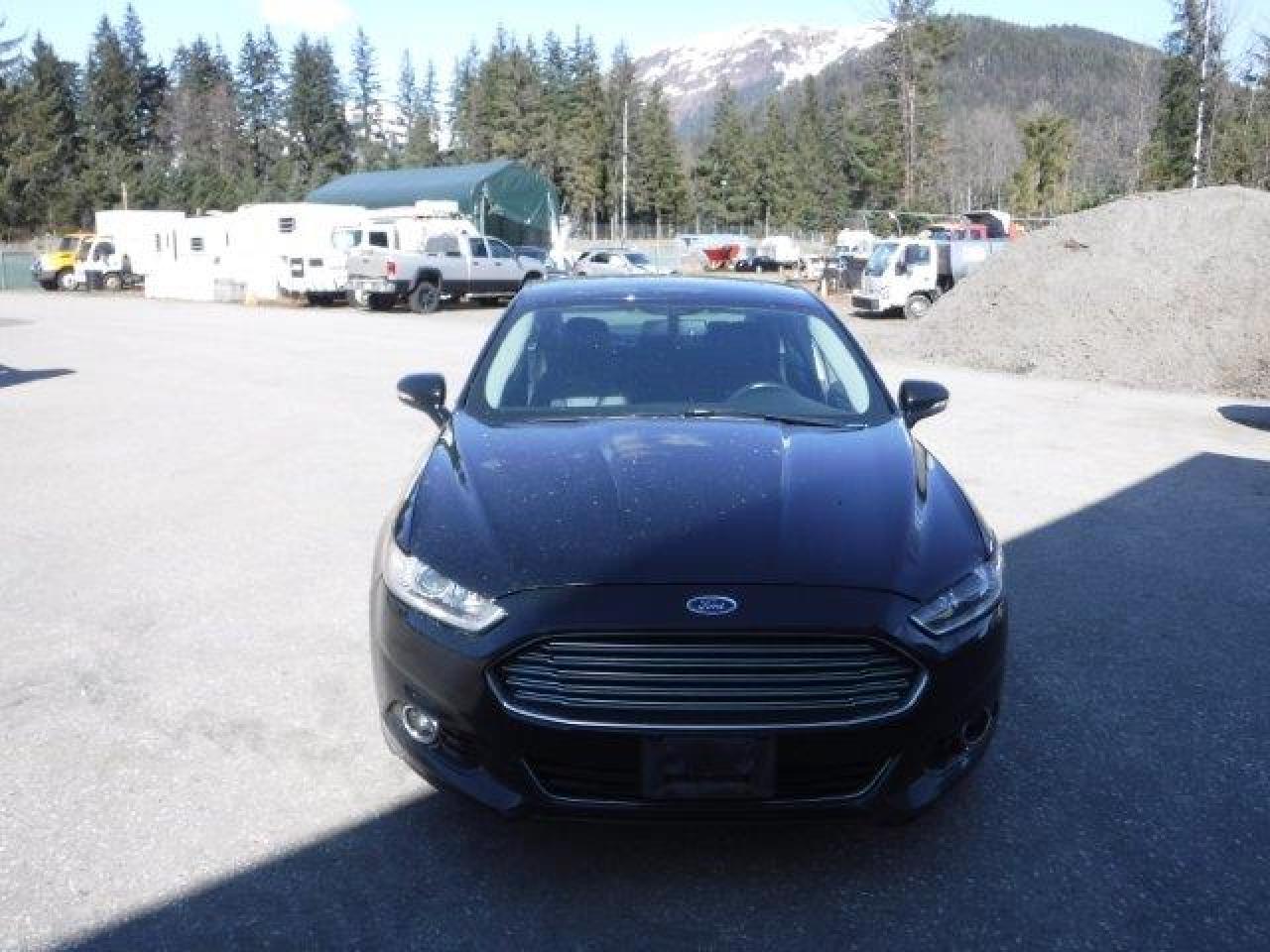 Photo 4 VIN: 3FA6P0D92ER186457 - FORD FUSION 