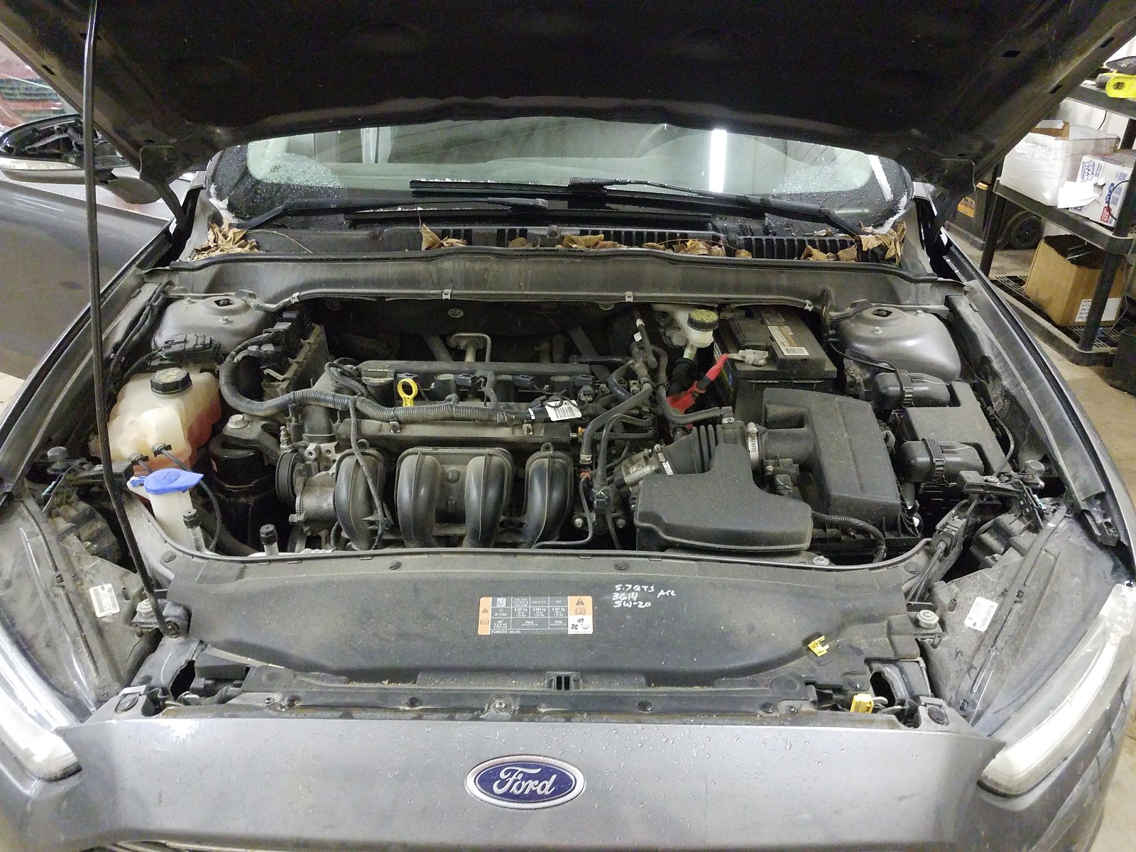 Photo 6 VIN: 3FA6P0H71DR281096 - FORD FUSION SE 