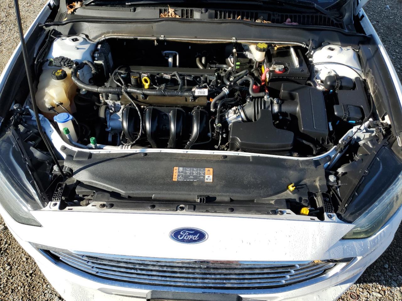 Photo 10 VIN: 3FA6P0H76HR207677 - FORD FUSION 