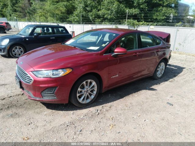 Photo 1 VIN: 3FA6P0LU7KR241213 - FORD FUSION HYBRID 