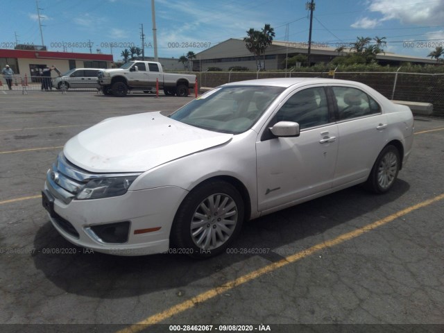 Photo 1 VIN: 3FADP0L34BR191126 - FORD FUSION 