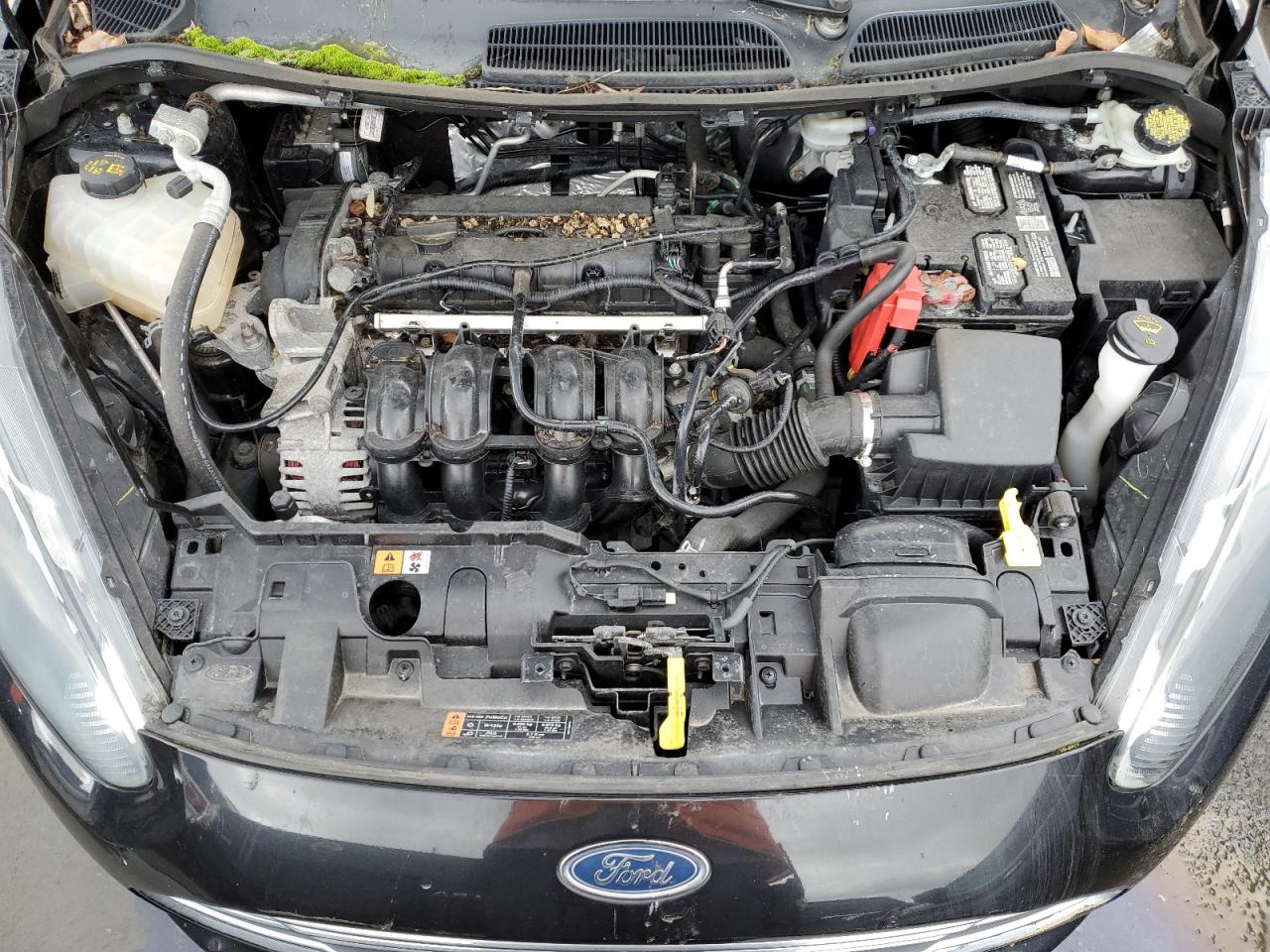 Photo 10 VIN: 3FADP4AJ2FM149369 - FORD FIESTA 