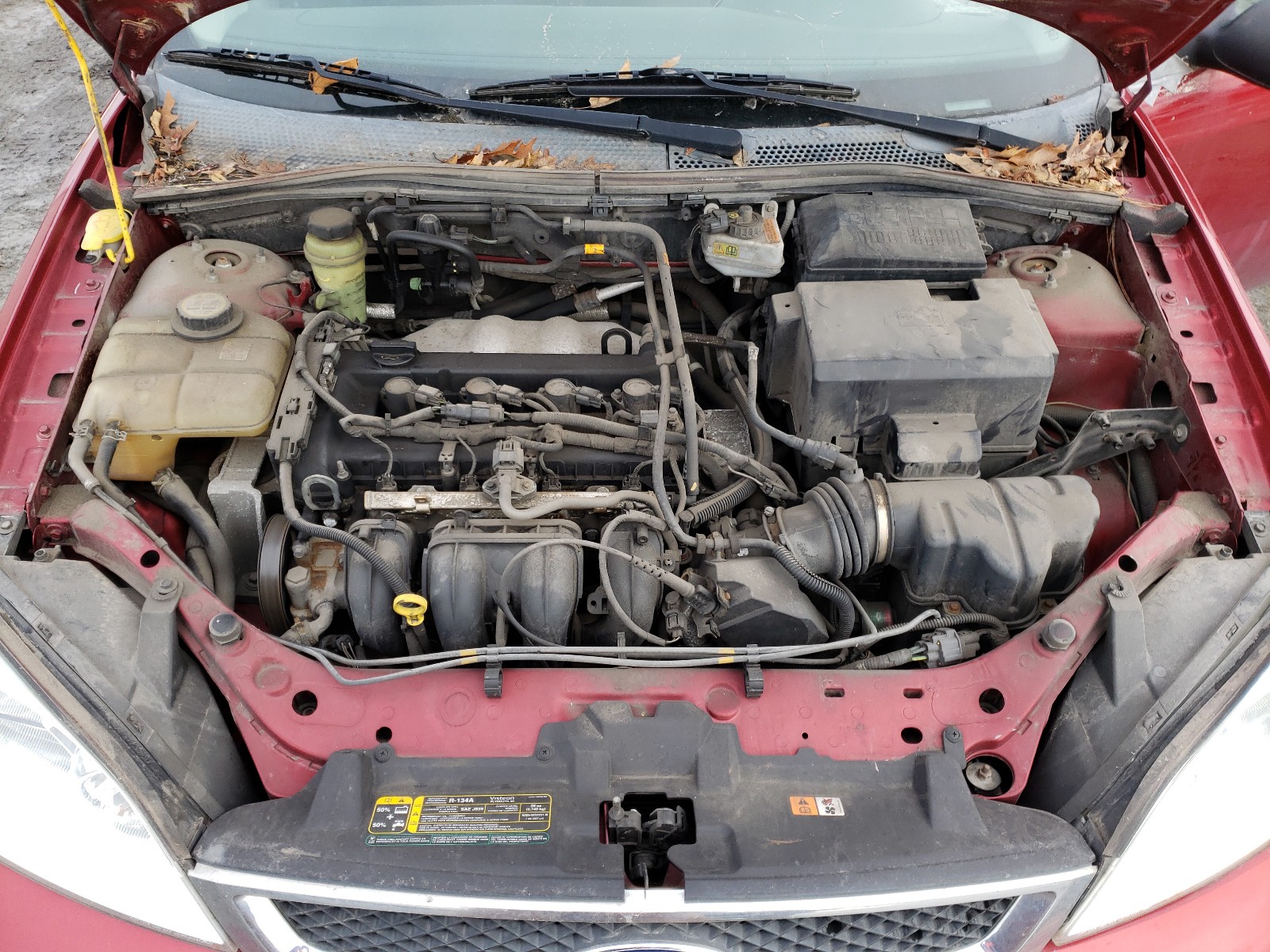 Photo 6 VIN: 3FAFP31N55R159997 - FORD FOCUS ZX3 