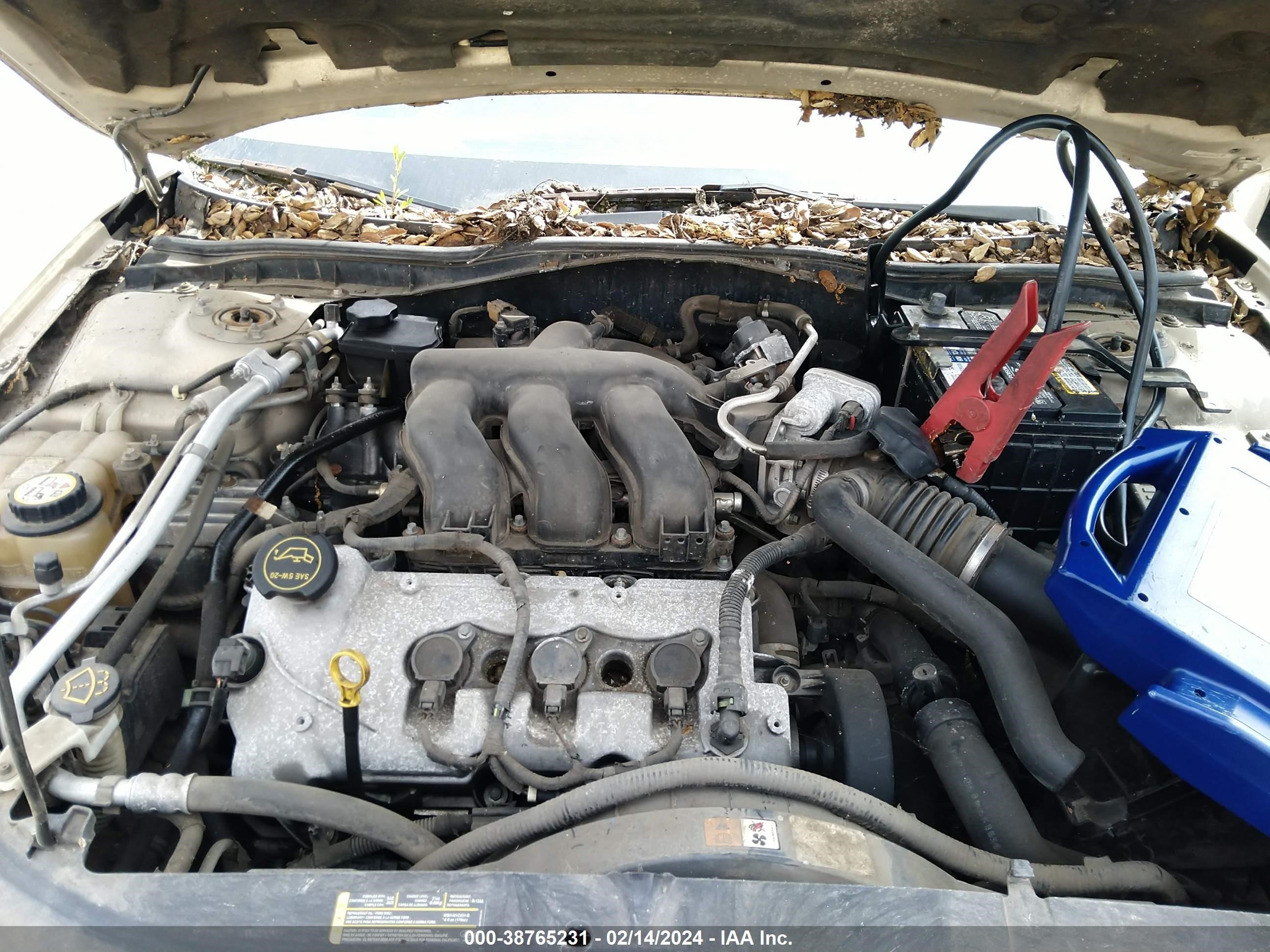 Photo 9 VIN: 3FAHP08126R110705 - FORD FUSION 