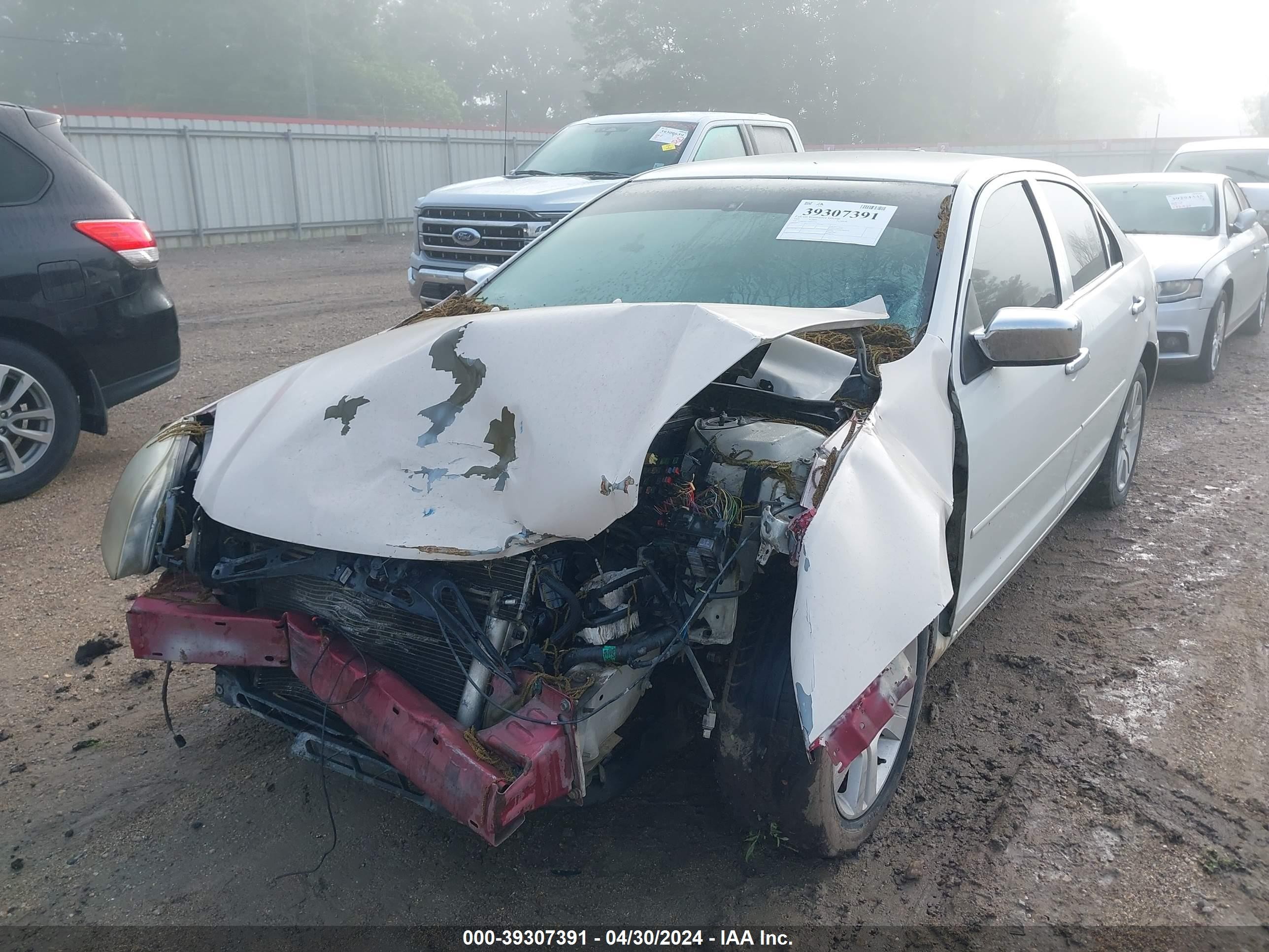 Photo 5 VIN: 3FAHP08189R149786 - FORD FUSION 