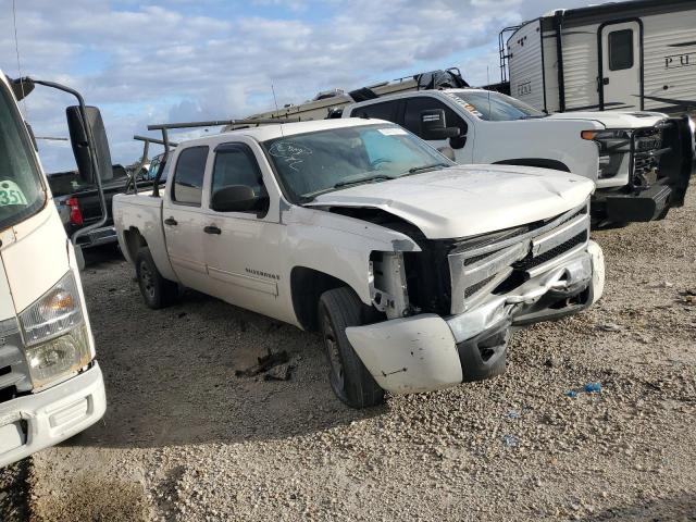 Photo 3 VIN: 3GCEC13C19G216697 - CHEVROLET SILVERADO 