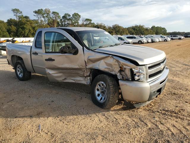 Photo 3 VIN: 3GCEC13C29G113515 - CHEVROLET SILVERADO 