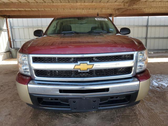 Photo 4 VIN: 3GCEC13C59G216878 - CHEVROLET SILVERADO 