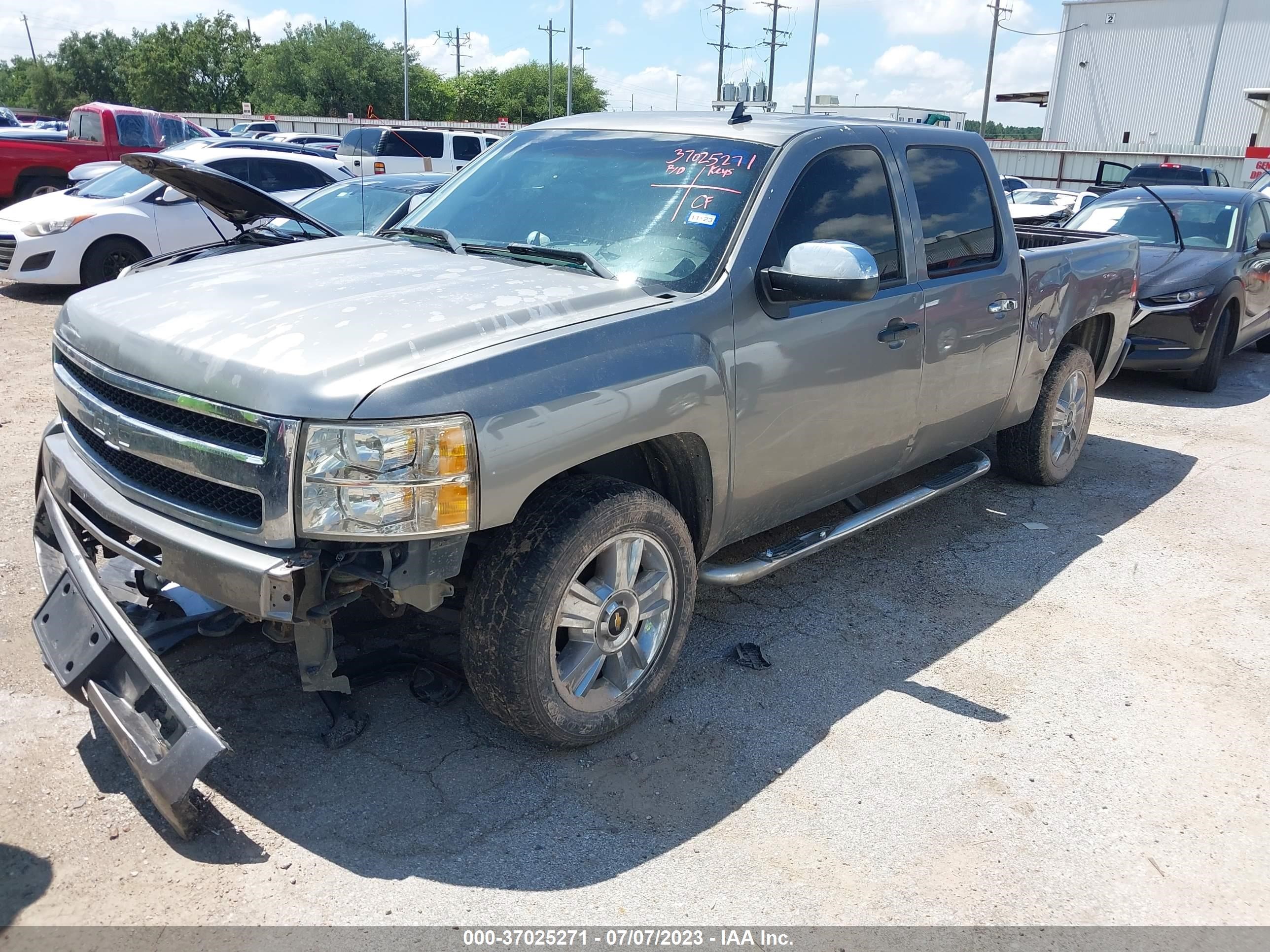 Photo 1 VIN: 3GCEC23029G185892 - CHEVROLET SILVERADO 