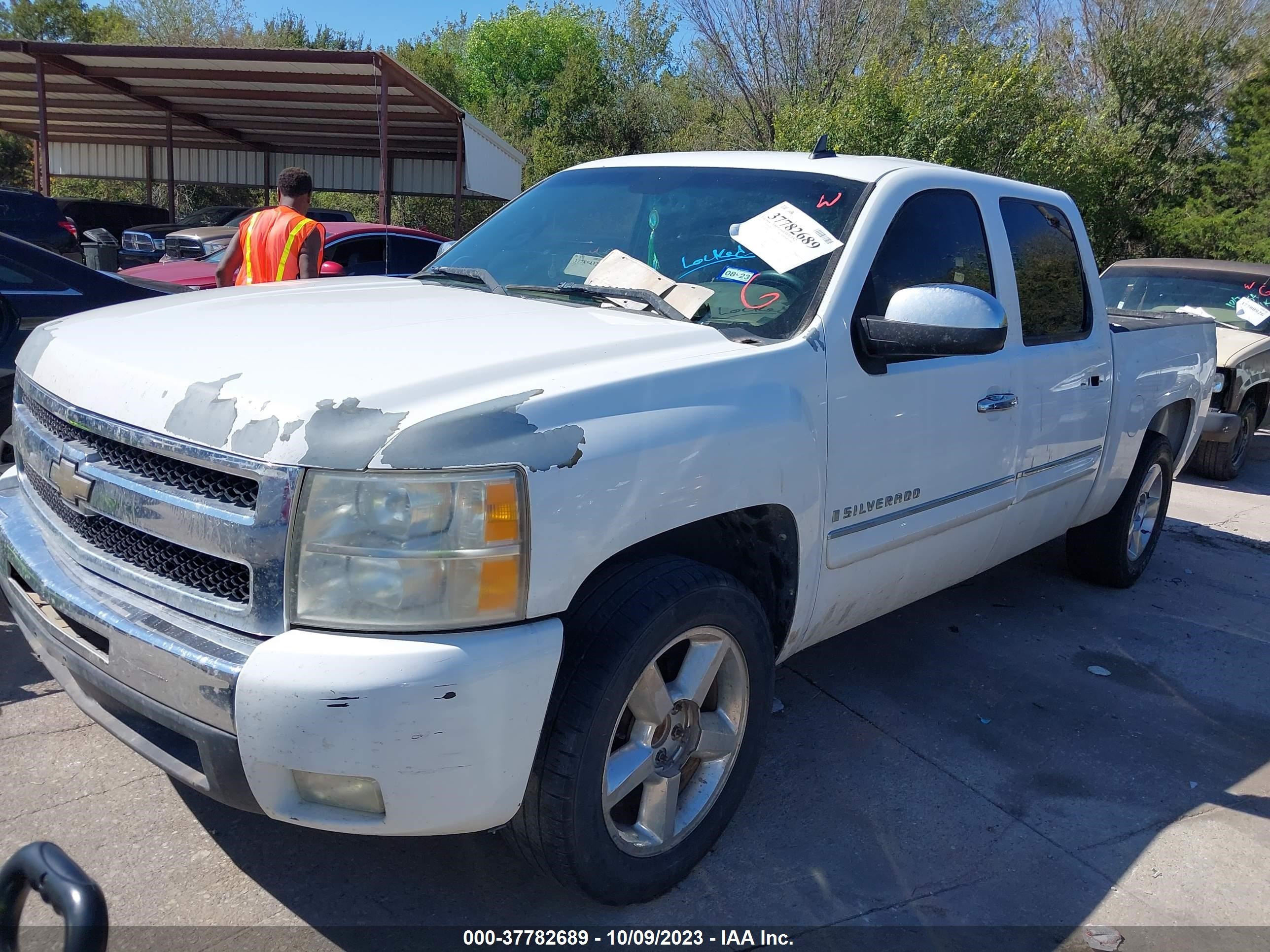 Photo 1 VIN: 3GCEC23039G266996 - CHEVROLET SILVERADO 