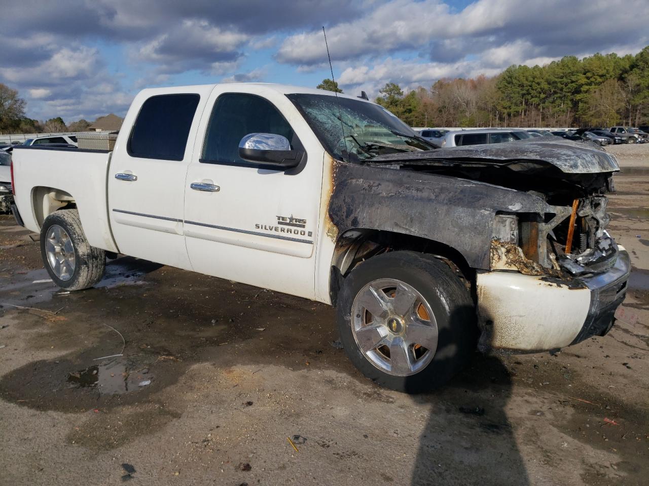 Photo 3 VIN: 3GCEC23099G152078 - CHEVROLET SILVERADO 