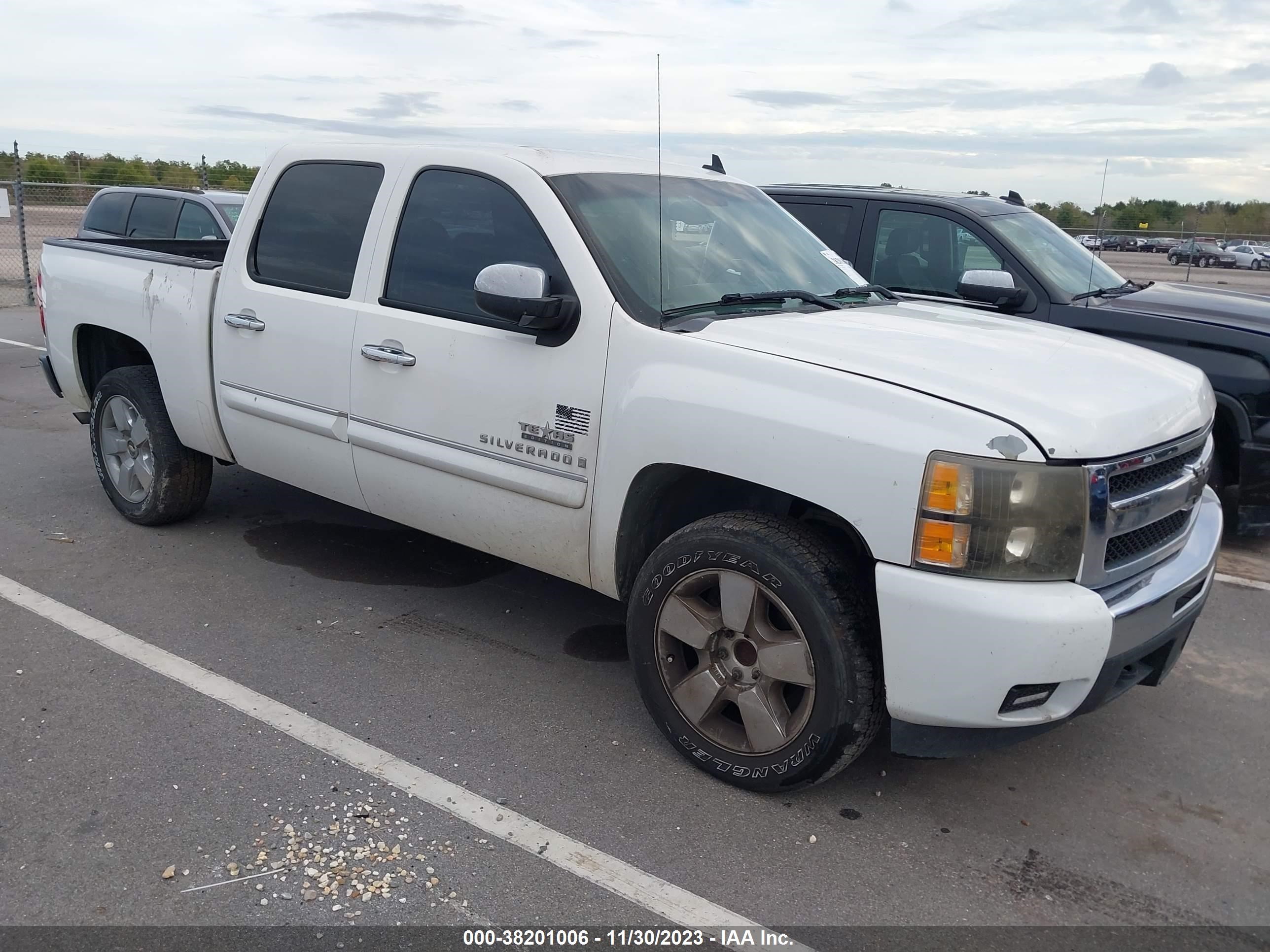 Photo 12 VIN: 3GCEC23J09G166041 - CHEVROLET SILVERADO 