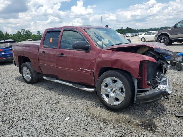 Photo 3 VIN: 3GCEC23J09G221801 - CHEVROLET SILVERADO 