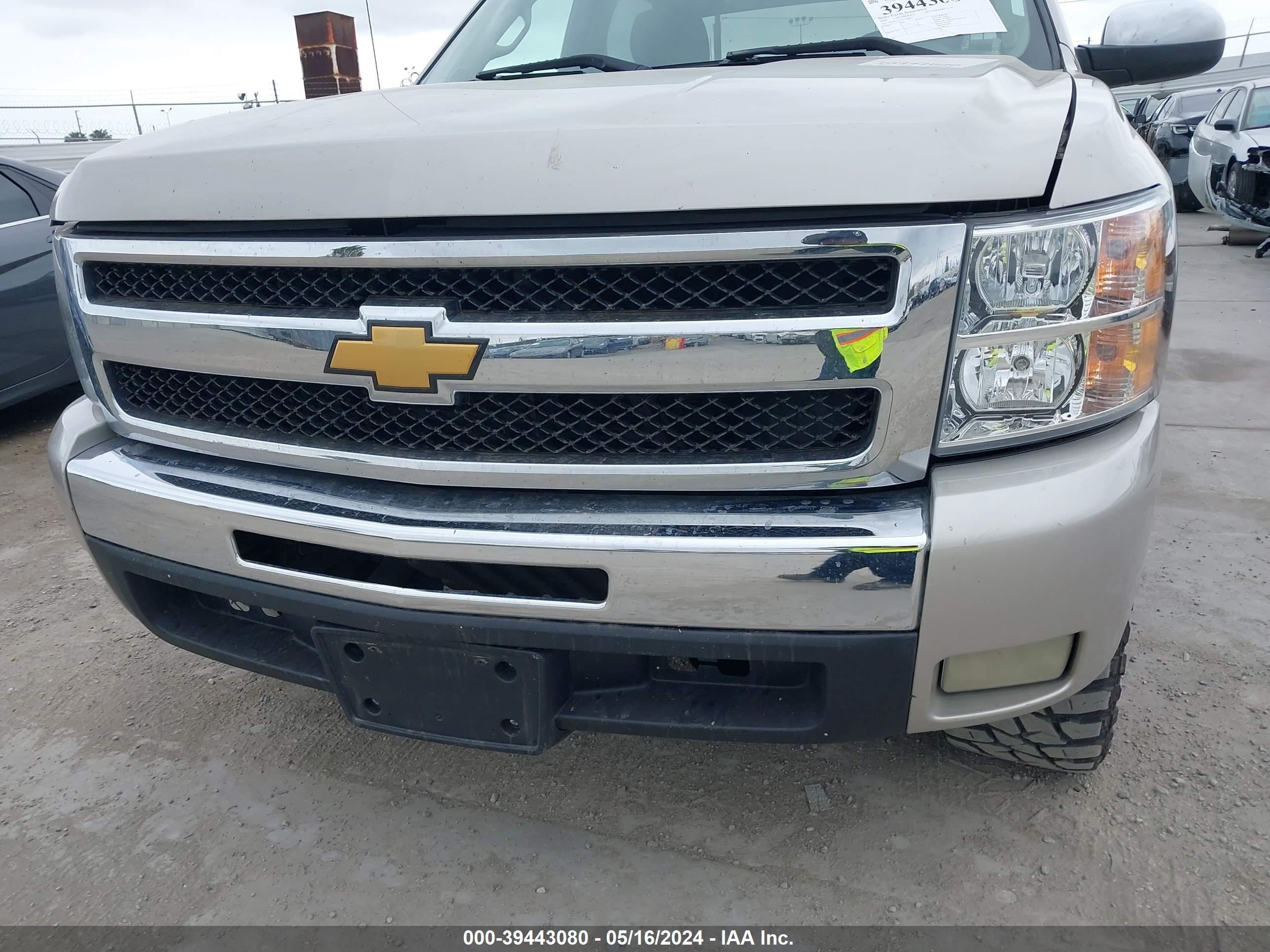 Photo 11 VIN: 3GCEC23J29G228815 - CHEVROLET SILVERADO 