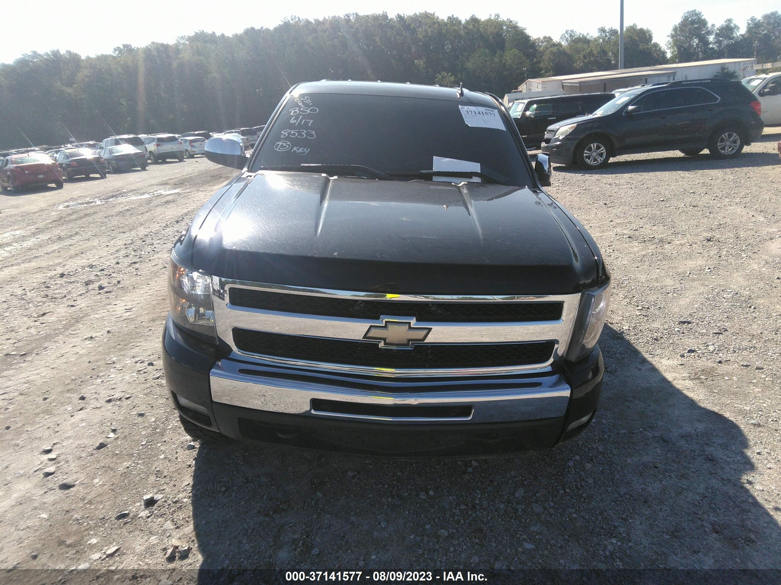 Photo 11 VIN: 3GCEC23J69G288533 - CHEVROLET SILVERADO 