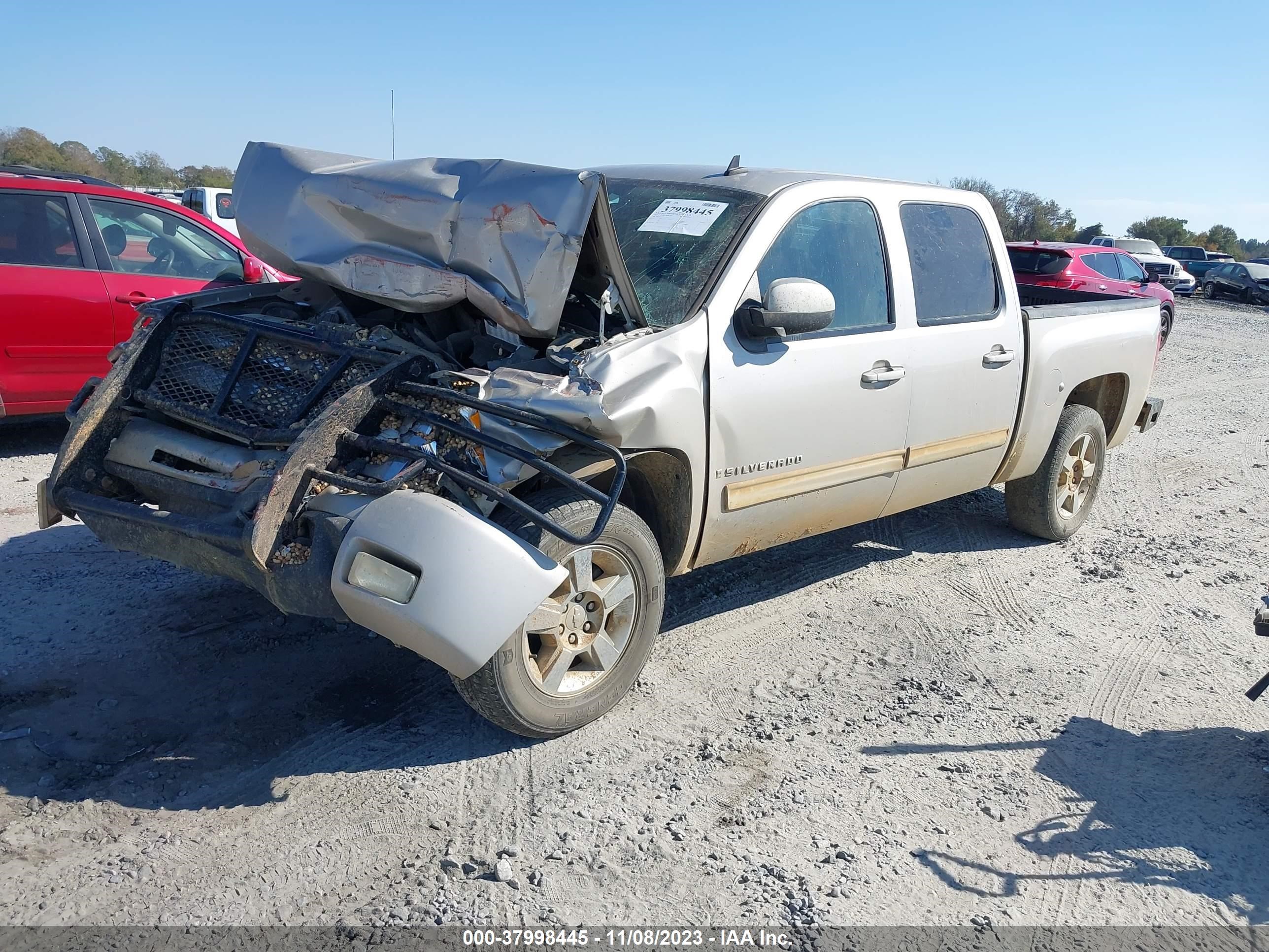 Photo 1 VIN: 3GCEC33049G203623 - CHEVROLET SILVERADO 