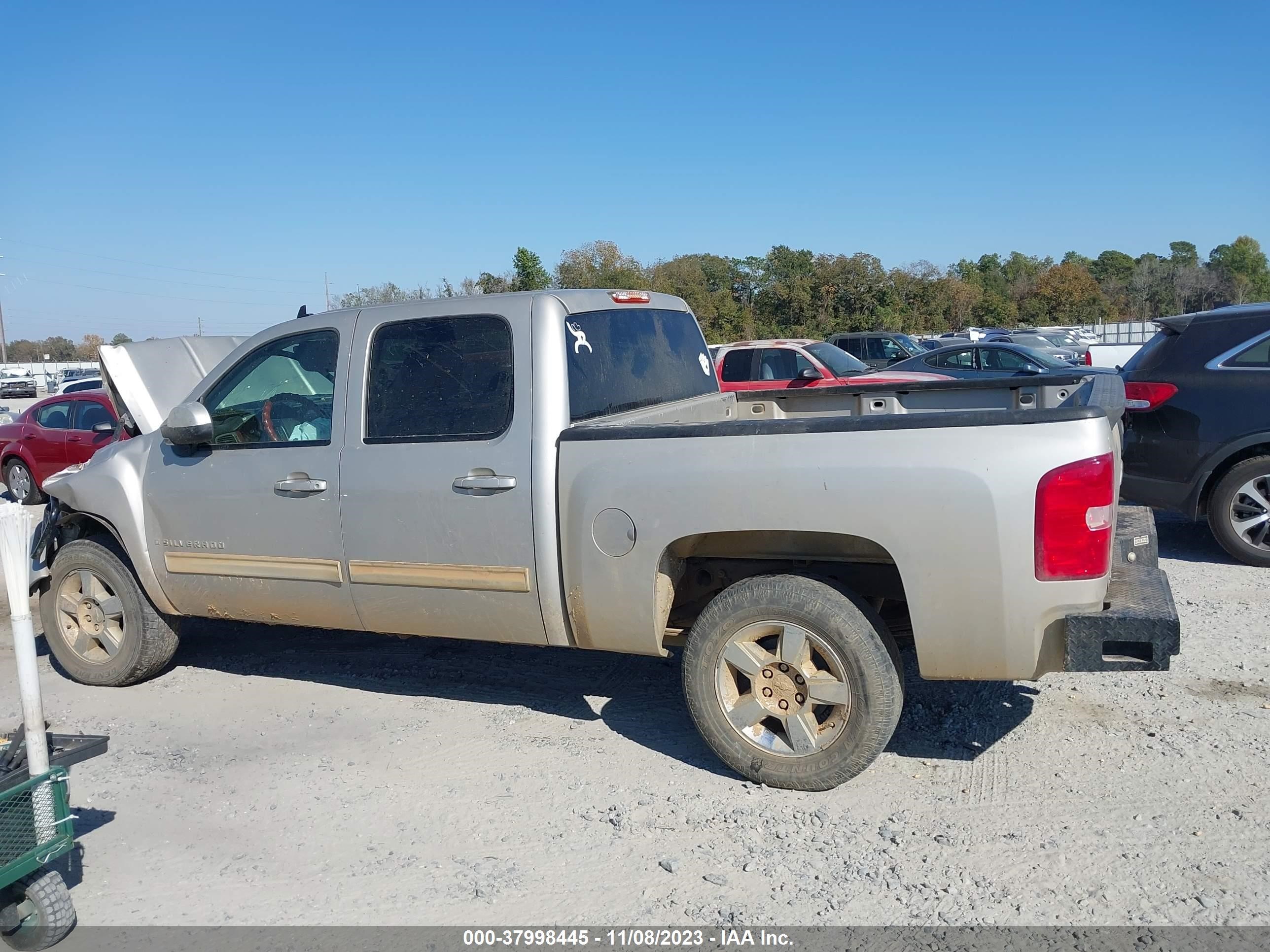 Photo 13 VIN: 3GCEC33049G203623 - CHEVROLET SILVERADO 