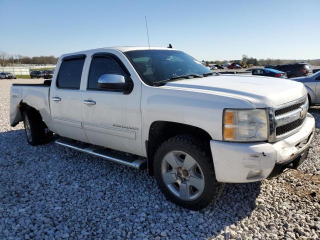 Photo 3 VIN: 3GCEK13329G239053 - CHEVROLET SILVERADO 