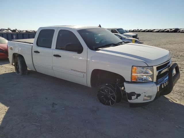 Photo 3 VIN: 3GCEK13M88G169422 - CHEVROLET SILVERADO 