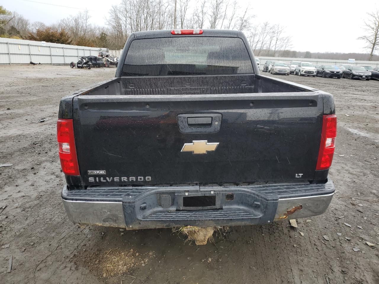 Photo 5 VIN: 3GCEK23319G106712 - CHEVROLET SILVERADO 