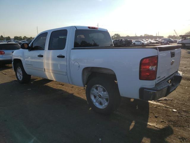 Photo 1 VIN: 3GCEK23369G157266 - CHEVROLET 1500 