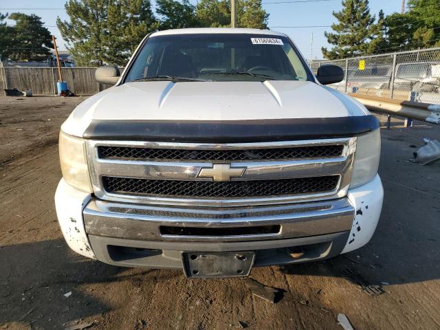 Photo 4 VIN: 3GCEK23369G157266 - CHEVROLET 1500 