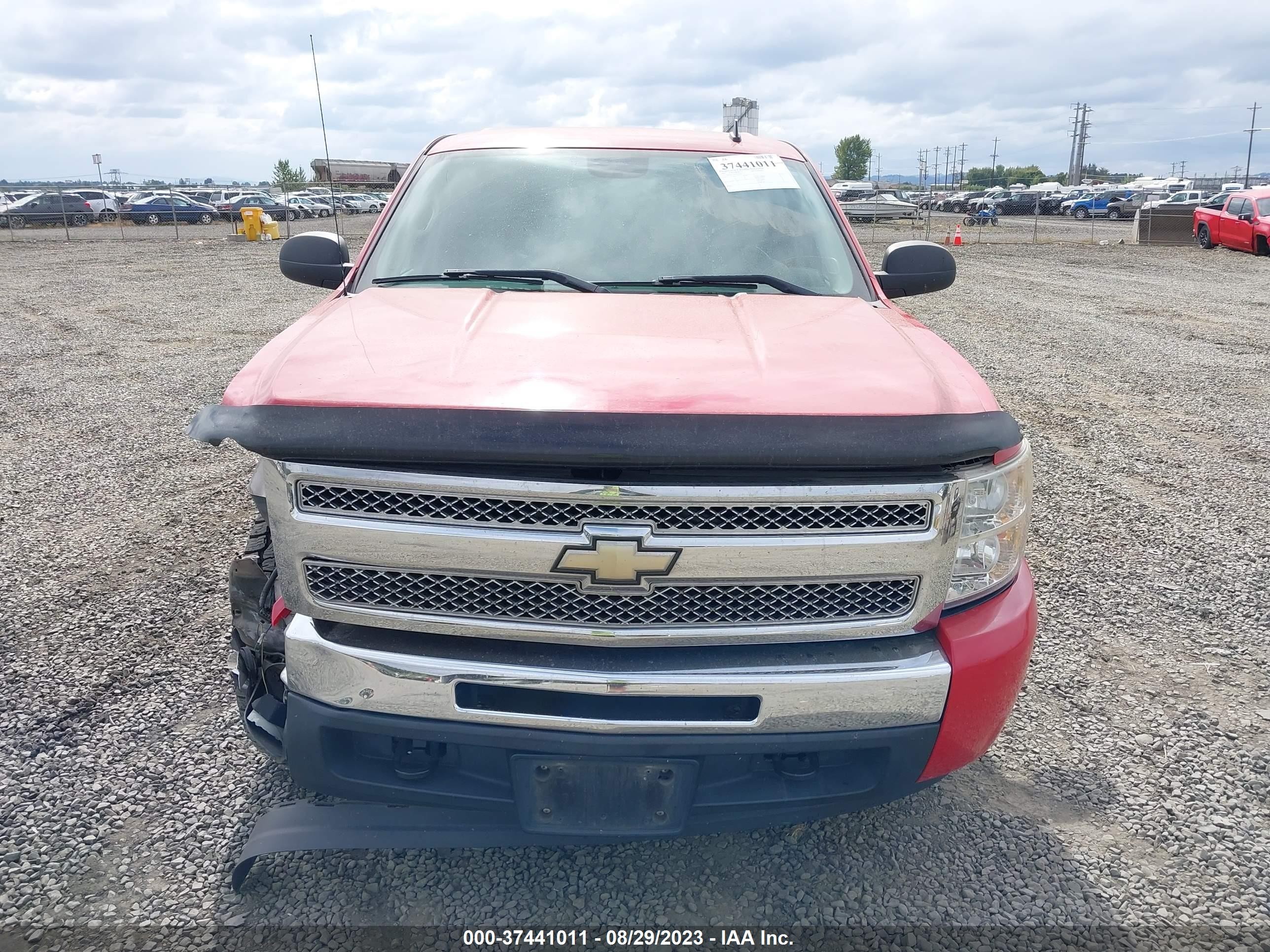 Photo 11 VIN: 3GCEK23M19G254495 - CHEVROLET SILVERADO 